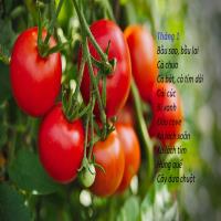 Tháng 1 trồng cây gì